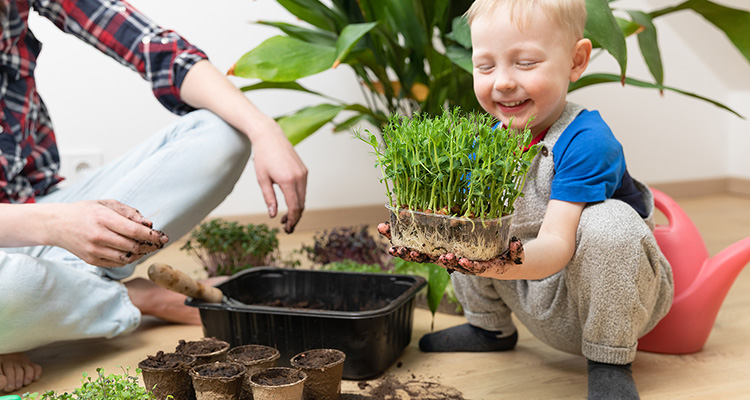 gardening with your children this summer