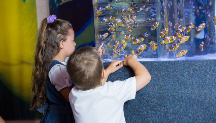 Fun field trips for preschooler in orlando FL