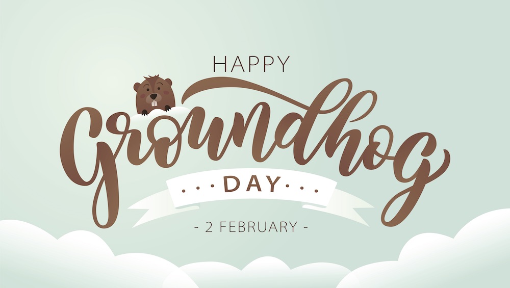 Virtual Field Trip - Groundhogs Day - digital version