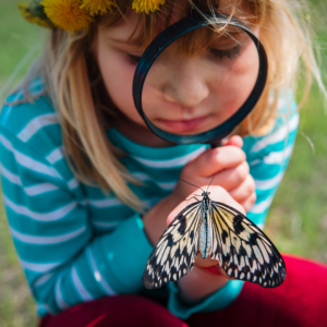 Buzzing with Knowledge: Bee and Butterfly Facts for Preschoolers