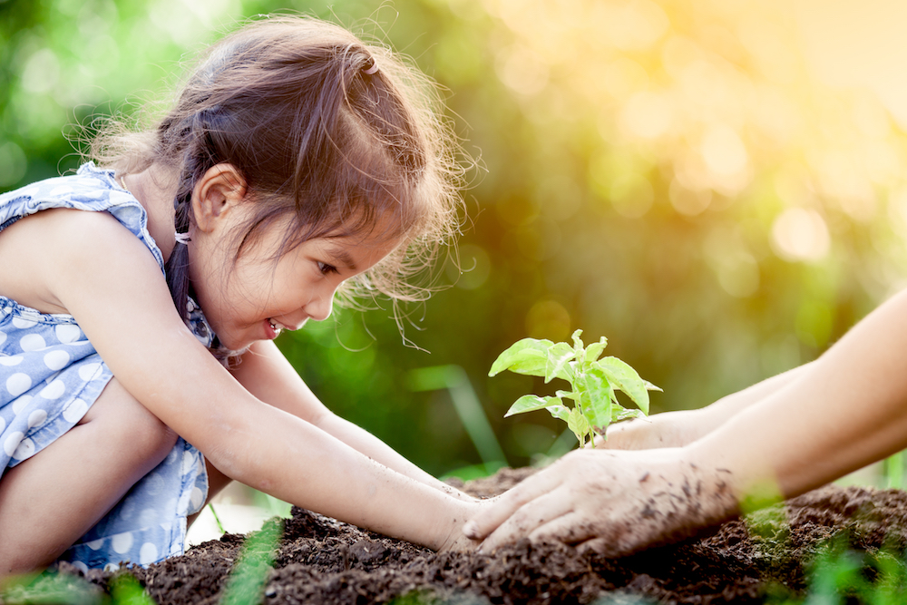 Gardening Ideas for Spring at Kids 'R' Kids Hamilton Mill, preschool, daycare, childcare, learning academy