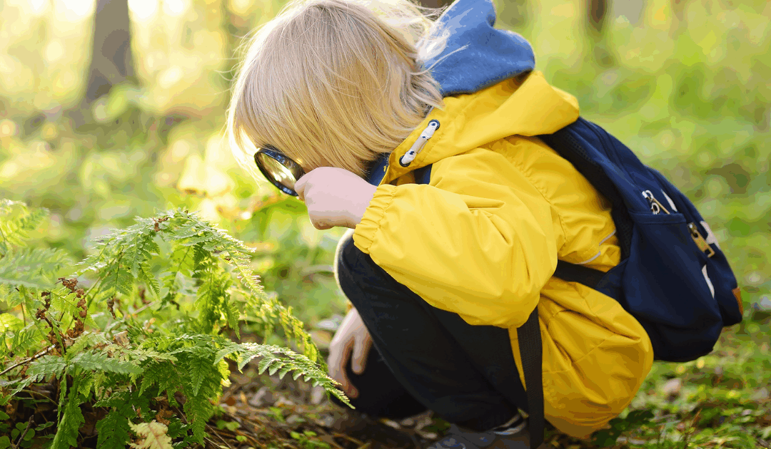 Tiny Tools, Big Adventures: How to Build a Preschool Explorer’s Kit ...