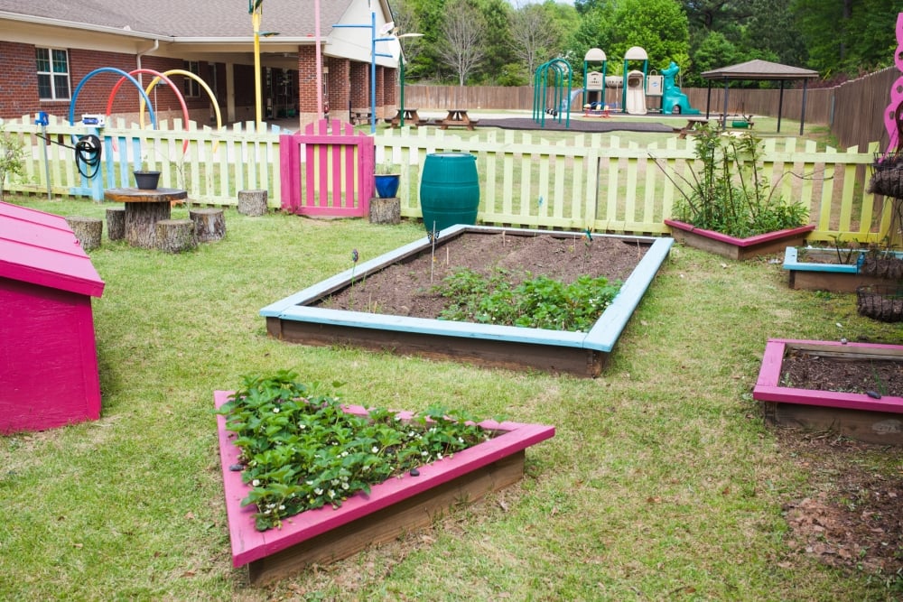We love our garden and the fresh fruits and veggies that our students get to help tend, harvest, and eat!
