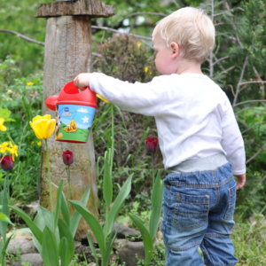 Springtime Flower Exploration with Preschoolers