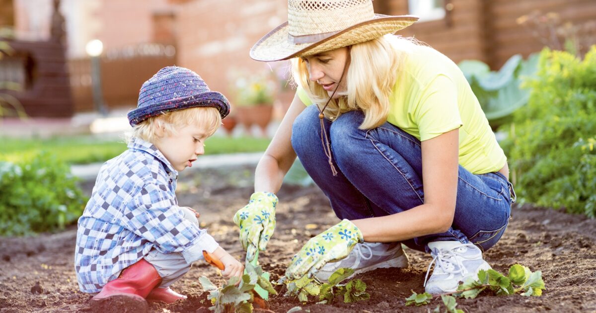 Little Green Thumbs: Engaging Preschoolers in Gardening - New Territory ...