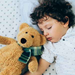 Winter Animals: Learning About Hibernation and Migration with Preschoolers