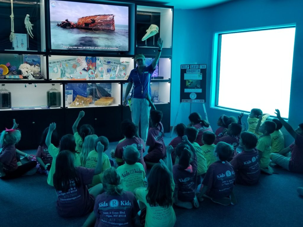 Learning indoors can get boring. Our students learn and expand their minds on our educational field trips! 