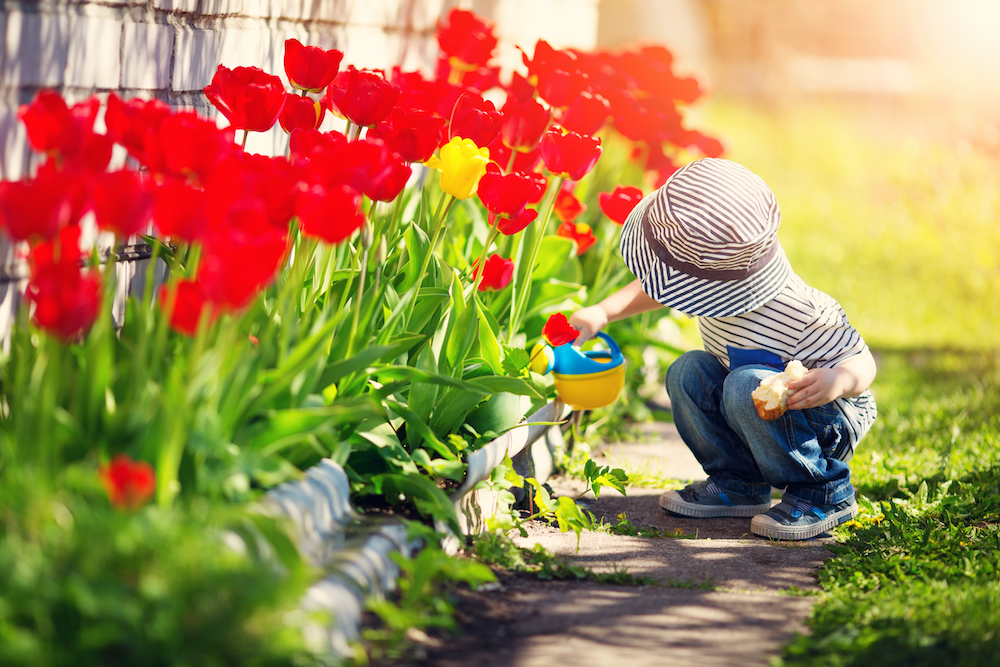 Seasonal Changes – Springtime with Your Preschooler