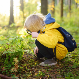 Springtime Learning in Nature: Exploring Colors and Shapes with Preschoolers