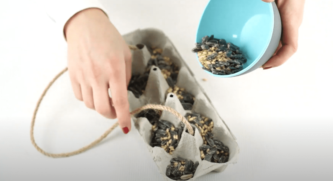 Craft Egg Carton Bird Feeder Kids 'R' Kids